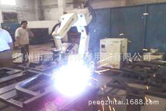 馨赢 牌 PZT-6063 室外健身器材 健身路径 腰背按摩训练器(图5) undefined